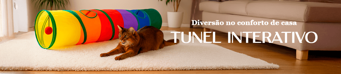 Túnel brinquedo interativo para gatos Clovelly Pet