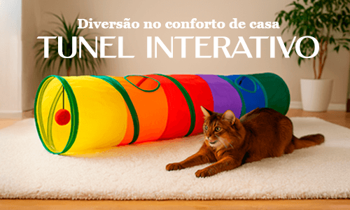 Túnel brinquedo interativo para gatos Clovelly Pet